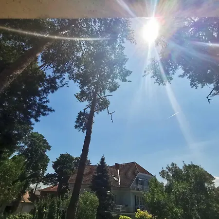 Zakkant-lak 시오포크